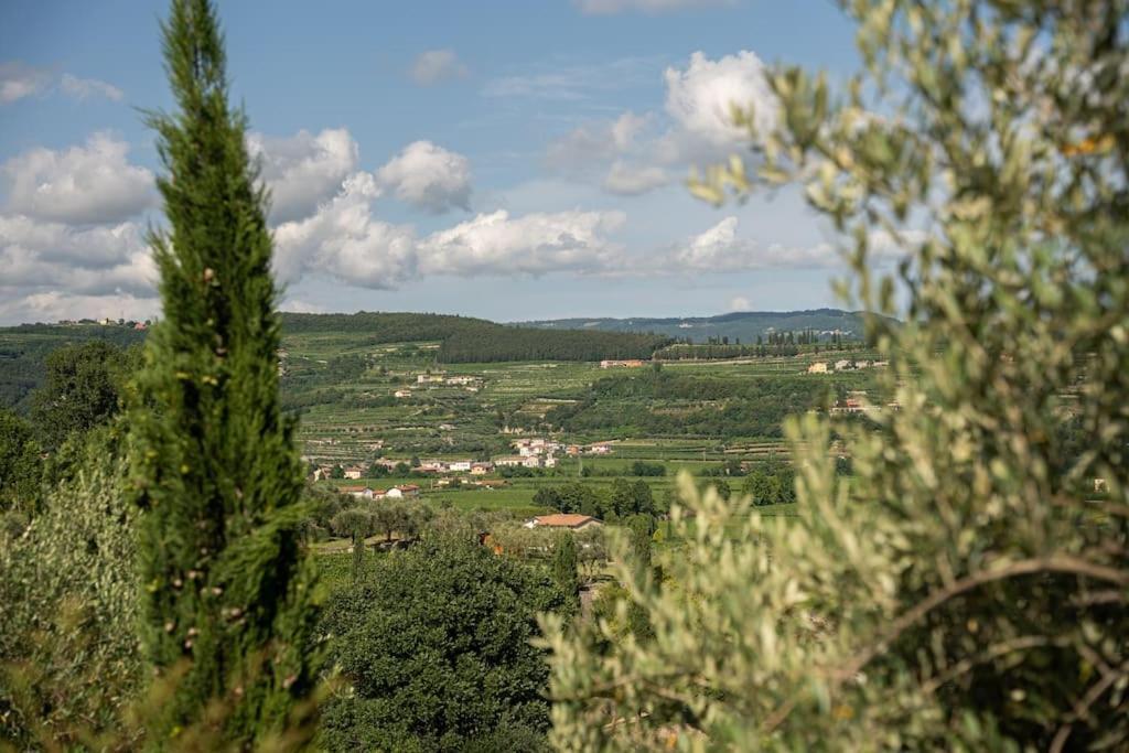 Monolocale Moderno Valpolicella Verona - Vayu * San Pietro In Cariano